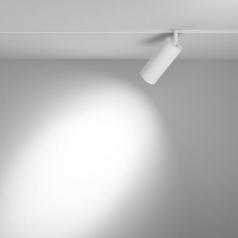 Трековый светильник Maytoni Focus Led Exility 3000-6000K TR032-4-20W3K-S-DS-W