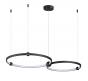 Подвесной светильник Lumion Diego 6533/80L