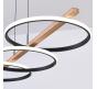 Светильник подвесной Arte Lamp Fluido A3913SP-24BK